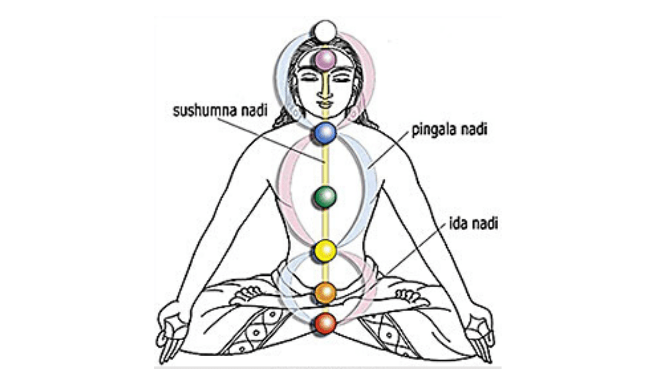 Prana Chakra